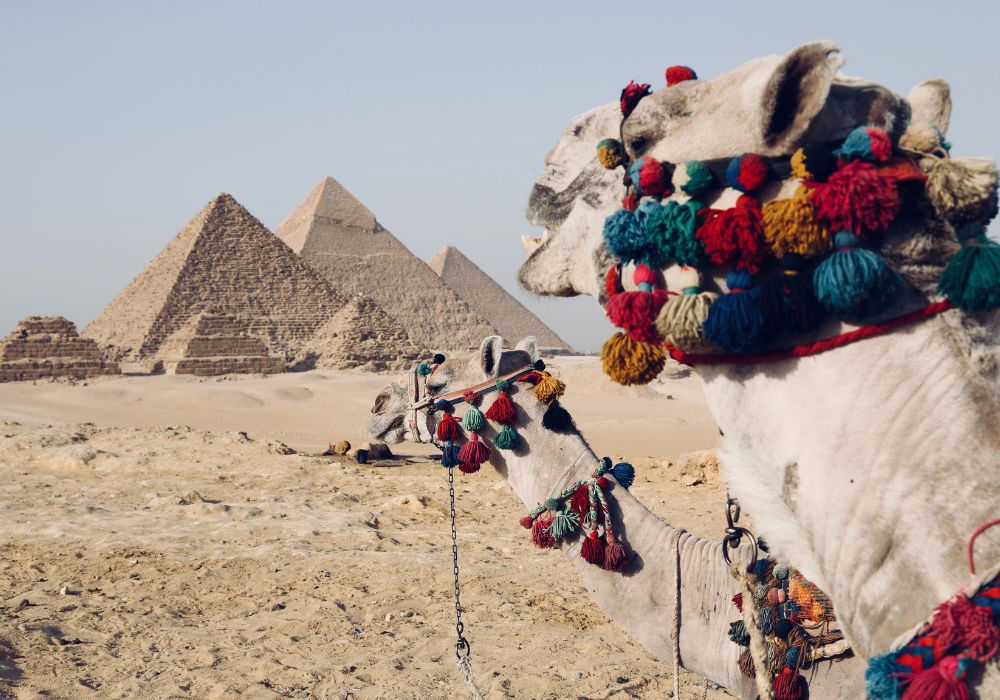 COMBINÉ EGYPTE : LE CAIRE, FAYOUM, LE NIL ET MER ROUGE