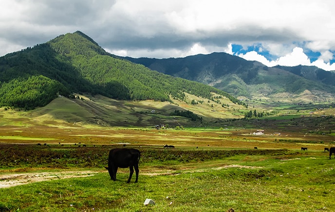 BHOUTAN EN TERRE SACREE - 